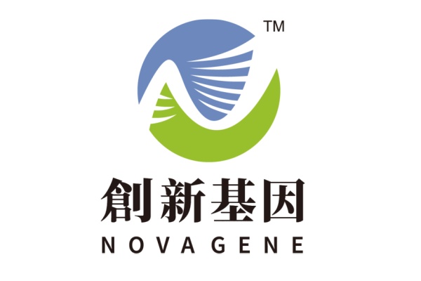 定安分部 创新基因诊断实验室